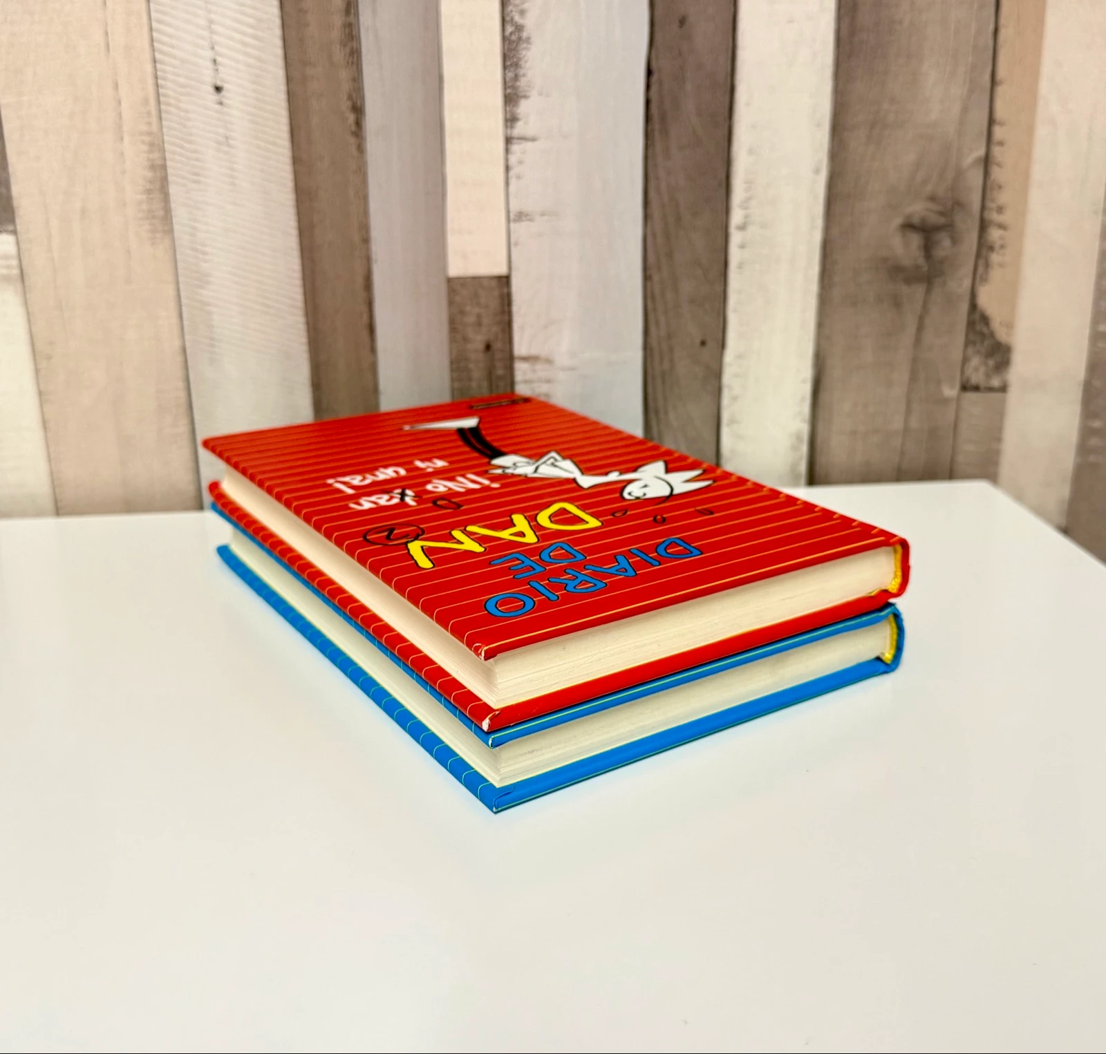 Dan's Diary Books 1 and 2 – photo 9